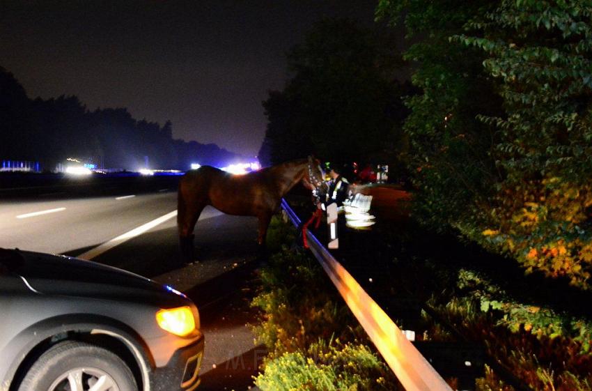 VU A3 Rich Koeln AS Lohmar Rastplatz Koenigsforst  P47.jpg